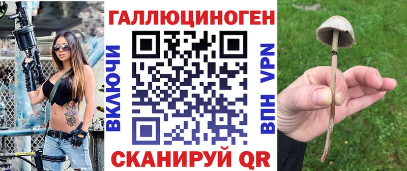 где можно купить наркотик  ОМГ ОМГ маркетплейс  Псилоцибиновые грибы Psilocybe  Нововоронеж 