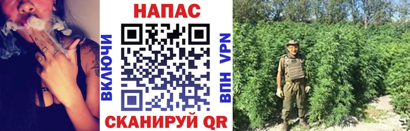 Канабис марихуана наркошоп Нововоронеж